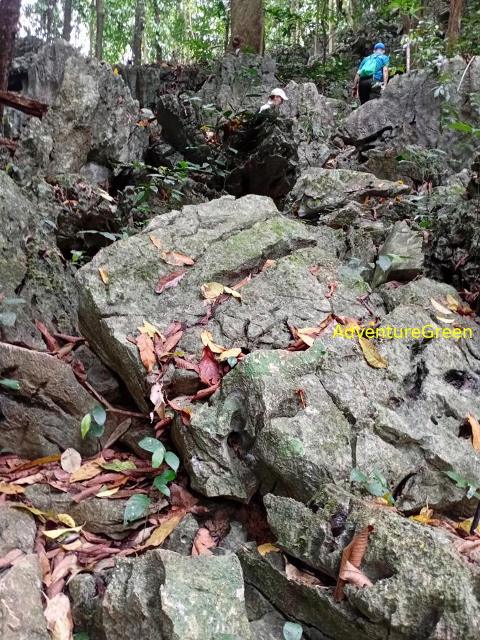 The terrain of the Cuc Phuong National Park includes valleys surrounded by limestone mountains
