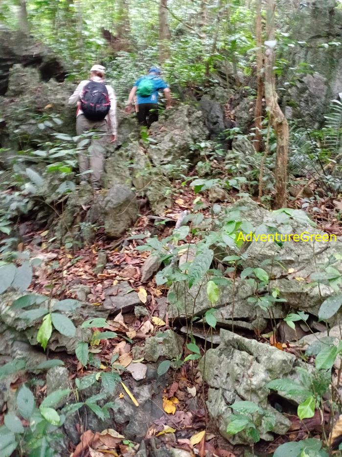 Trekking and hiking at Cuc Phuong National Park