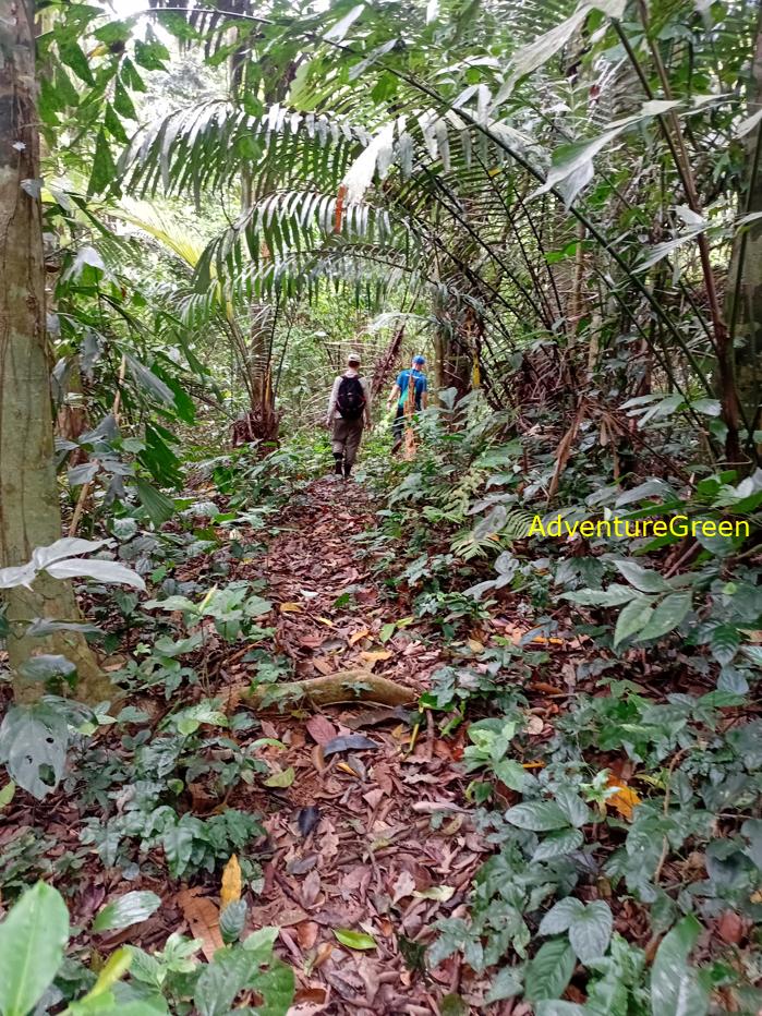 Trekking and hiking in Cuc Phuong National Park Vietnam
