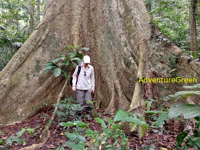 Trekking and hiking in Cuc Phuong National Park Vietnam