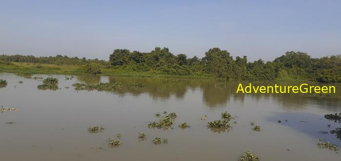 Birding by the Saigon River Vietnam