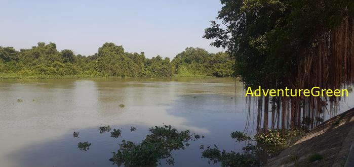 Birding by the Saigon River Vietnam