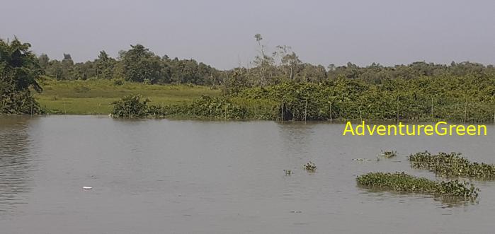 Birding by the Saigon River Vietnam