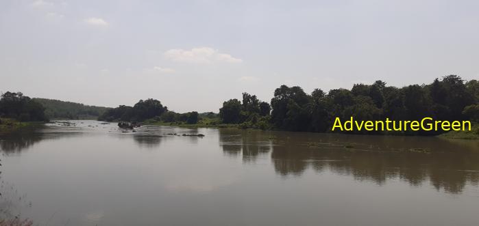 Birding by the Saigon River Vietnam