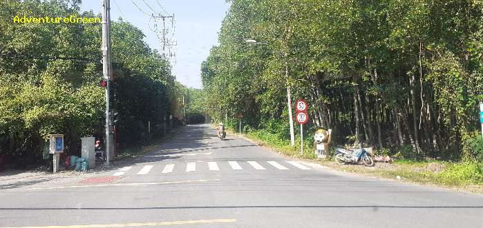 Birding and birdwatching in Can Gio, Saigon Ho Chi Minh City, Vietnam