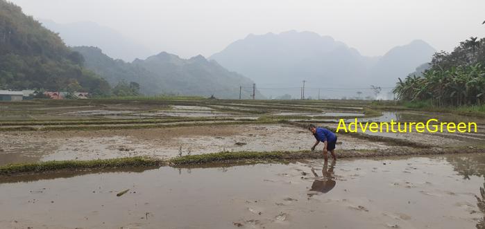 Trekking hiking tour at the Pu Luong Nature Reserve in Vietnam