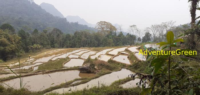 Trekking hiking tour at the Pu Luong Nature Reserve in Vietnam