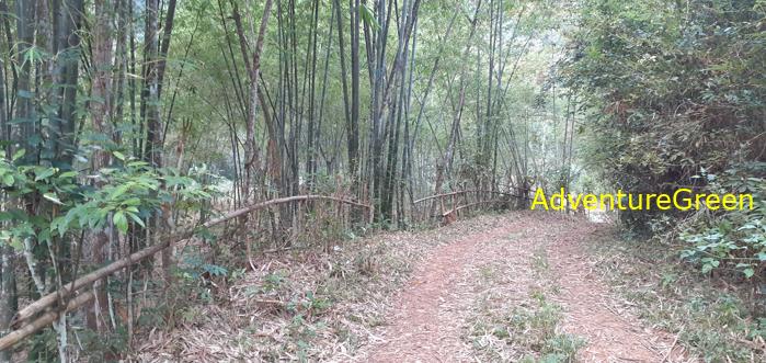 Trekking hiking tour Pu Luong Vietnam