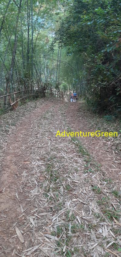 Trekking hiking tour at the Pu Luong Nature Reserve in Vietnam