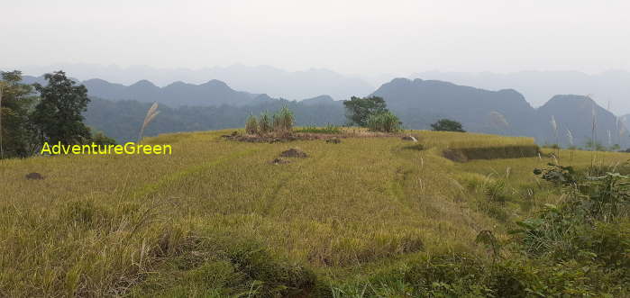 A breathtaking view from the base of Mount Pu Luong