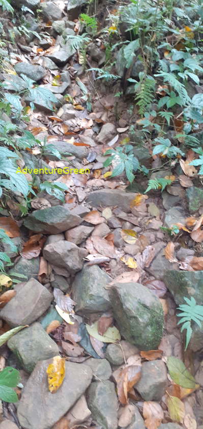 A rocky hiking path on Mountain of Pu Luong