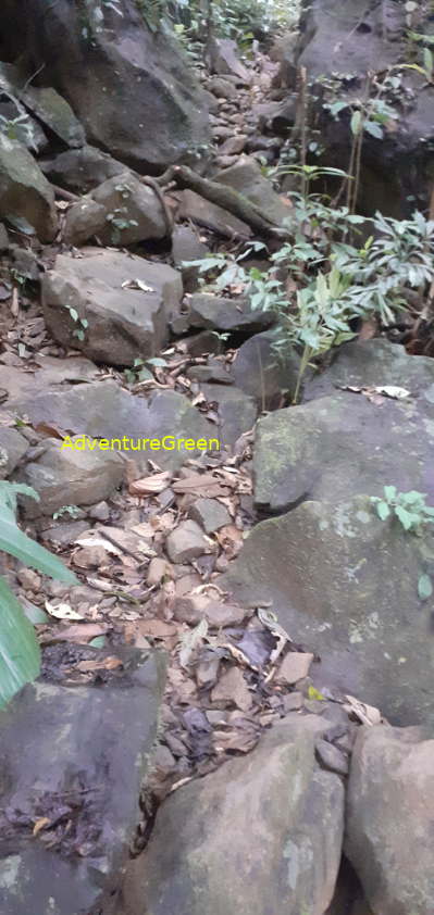 A rocky trekking path on the Mountain of Pu Luong