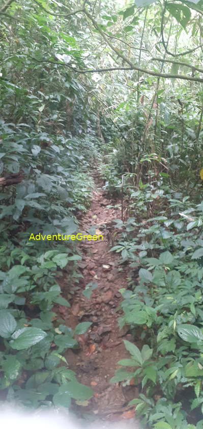 A narrow path with pebbles on the slope of Mountain of Pu Luong