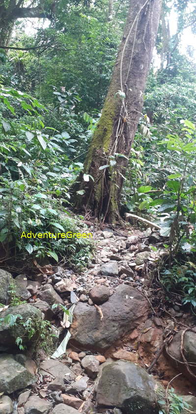 A rocky trekking path on the Pu Luong Mountain