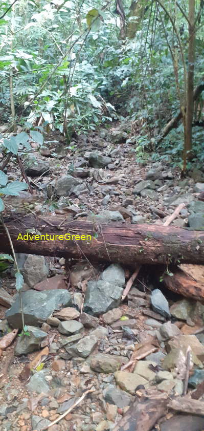 A rocky trail on Mountain of Pu Luong