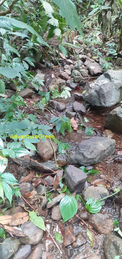 A rocky hiking path with running water on the Pu Luong Mountain