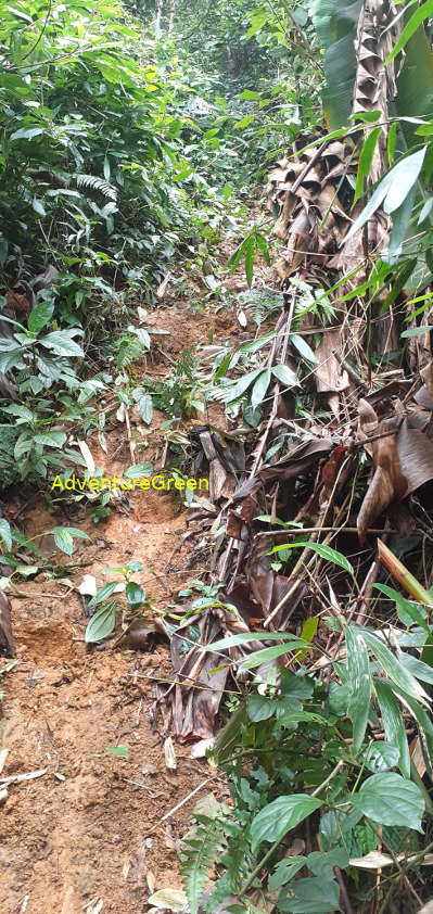 A steep and slippery dirt path on the Pu Luong Mountain