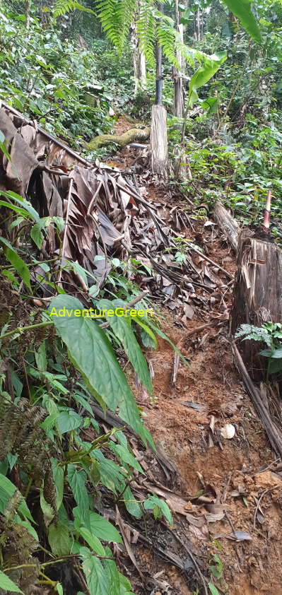 A steep and slippery dirt hiking path on the Pu Luong Mountain