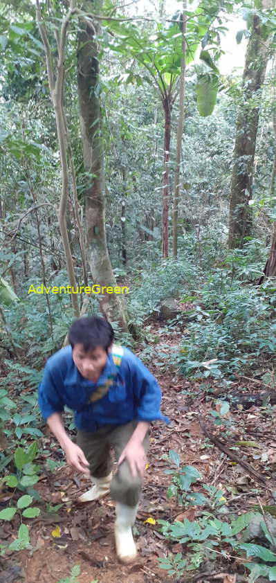 A not too difficult path amid forest on Mount Pu Luong