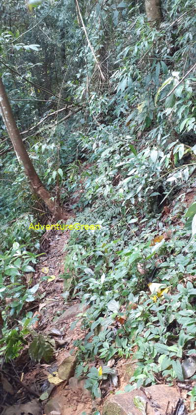 A tiny hiking rocky path on the Pu Luong Mountain