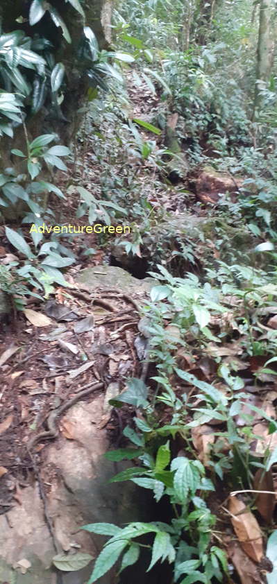 A rocky path near the peak of the Pu Luong Mountain