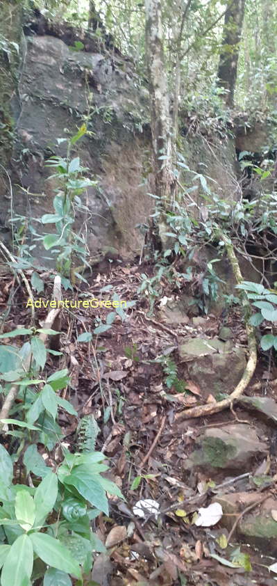 A rocky path near the peak of the Pu Luong Mountain