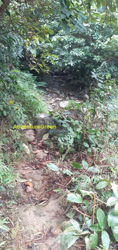 A rocky path near the base of Mount Pu Luong