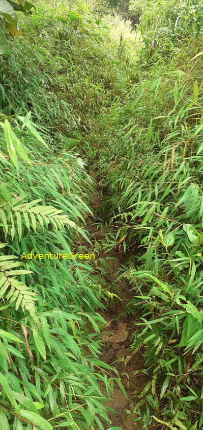 A rocky path near the base of Mount Pu Luong