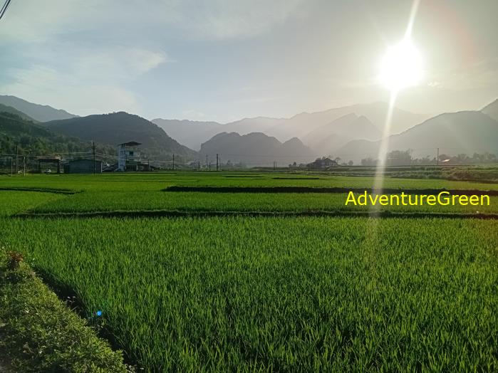 Travel guide to Tu Le Valley, Yen Bai, Vietnam Travel guide to Tu Le Valley, Yen Bai, Vietnam